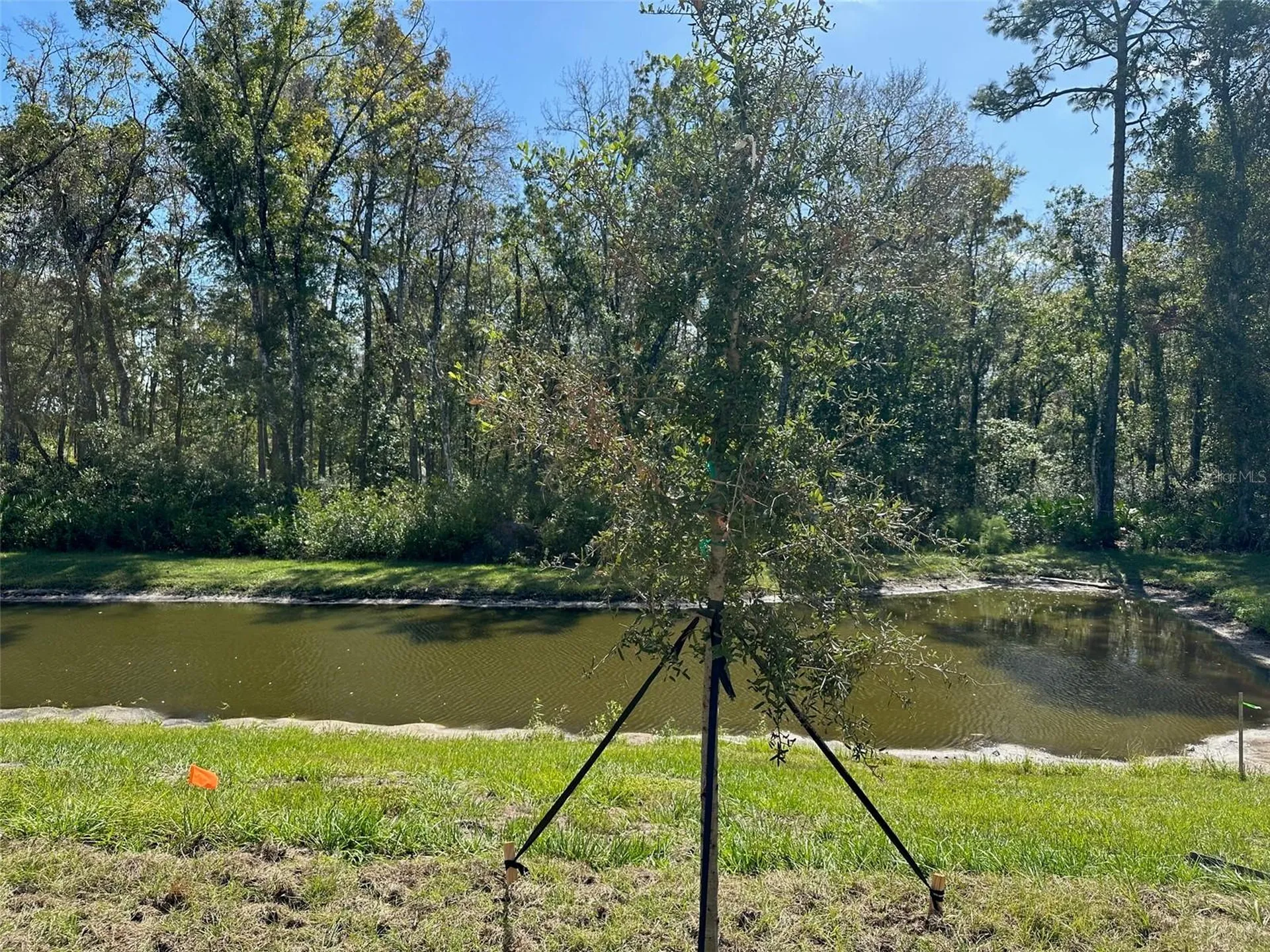 Land O Lakes FL 34638