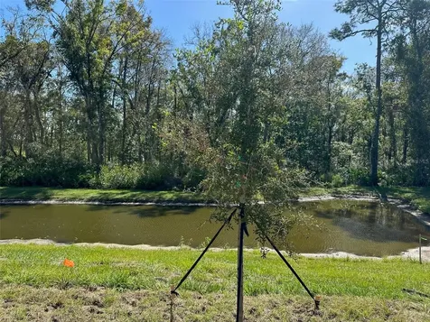 Land O Lakes FL 34638