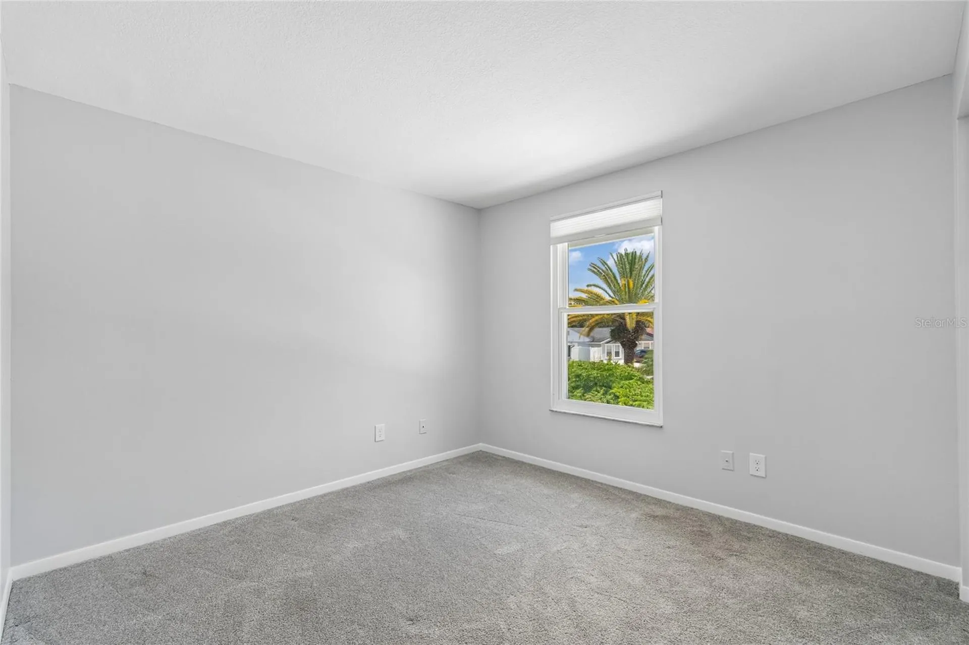 16018 Saddlestring Drive Tampa FL 33618