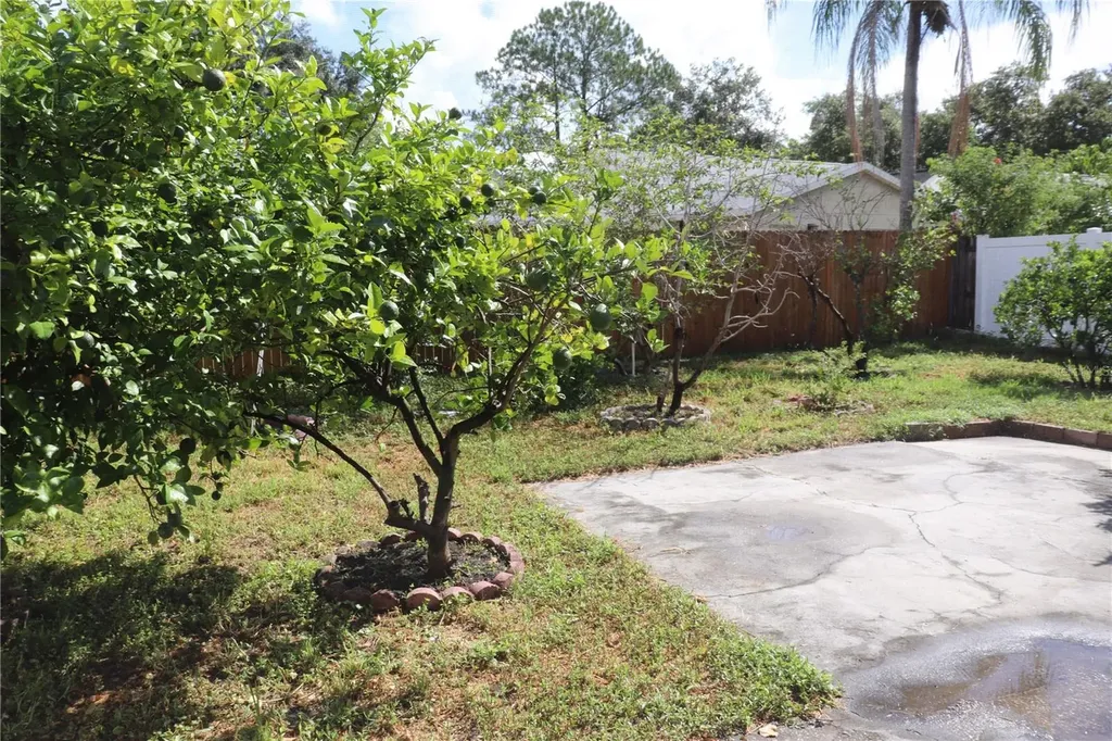 11012 Brightside Drive Tampa FL 33624