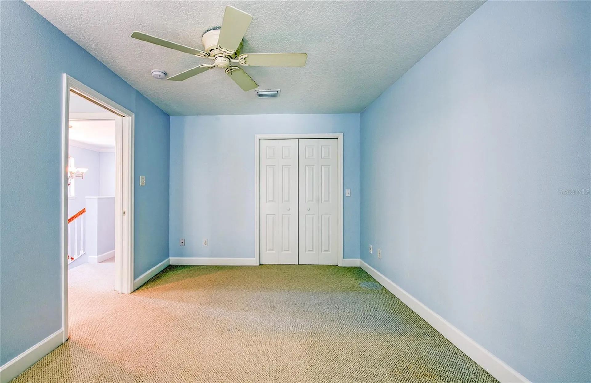 5606 Samter Court Tampa FL 33611