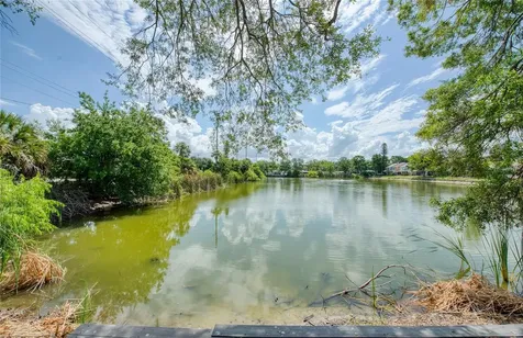 5606 Samter Court Tampa FL 33611