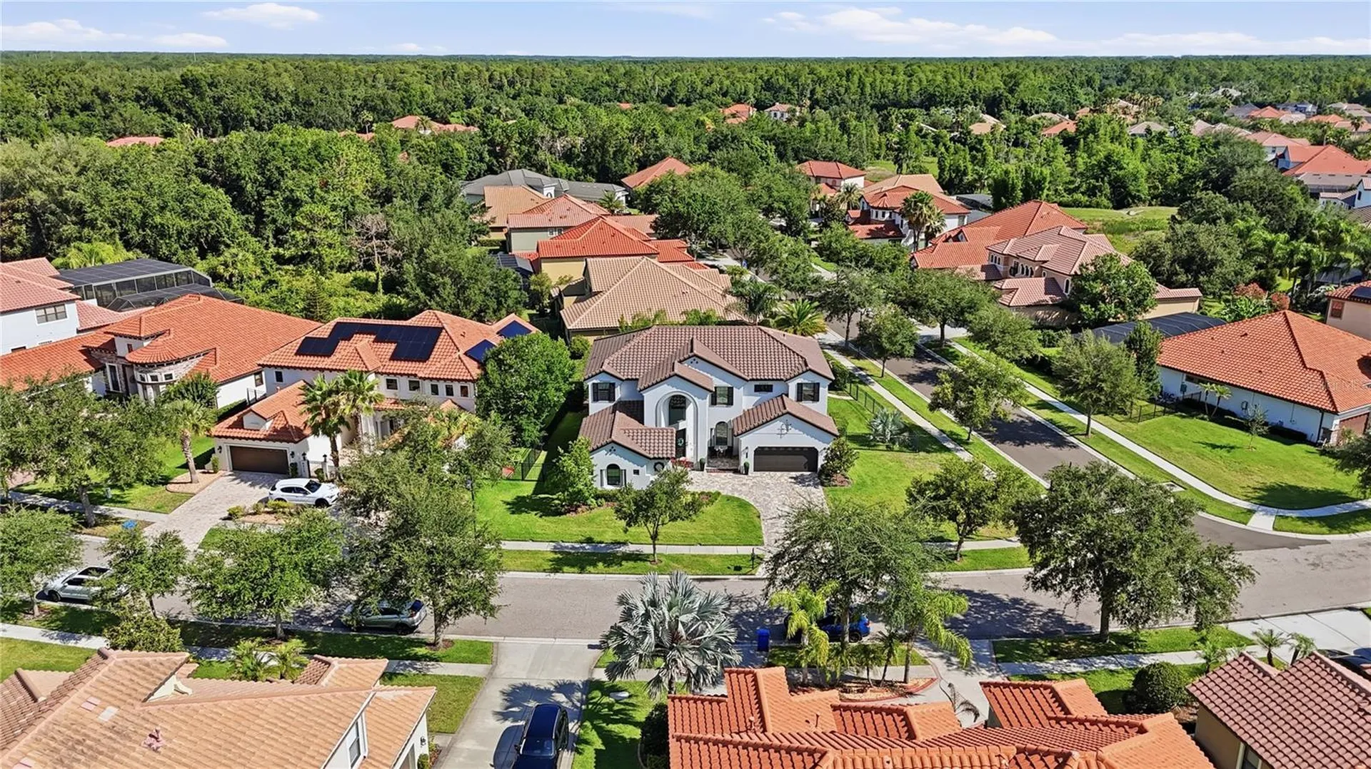 8413 Dunham Station Drive Tampa FL 33647