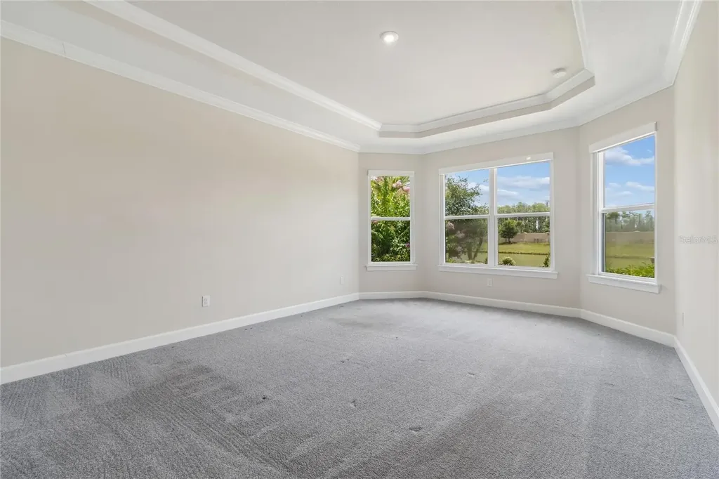 29306 Ginnetto Drive Wesley Chapel FL 33543