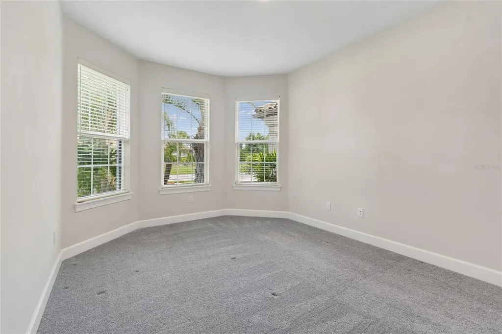 29306 Ginnetto Drive Wesley Chapel FL 33543
