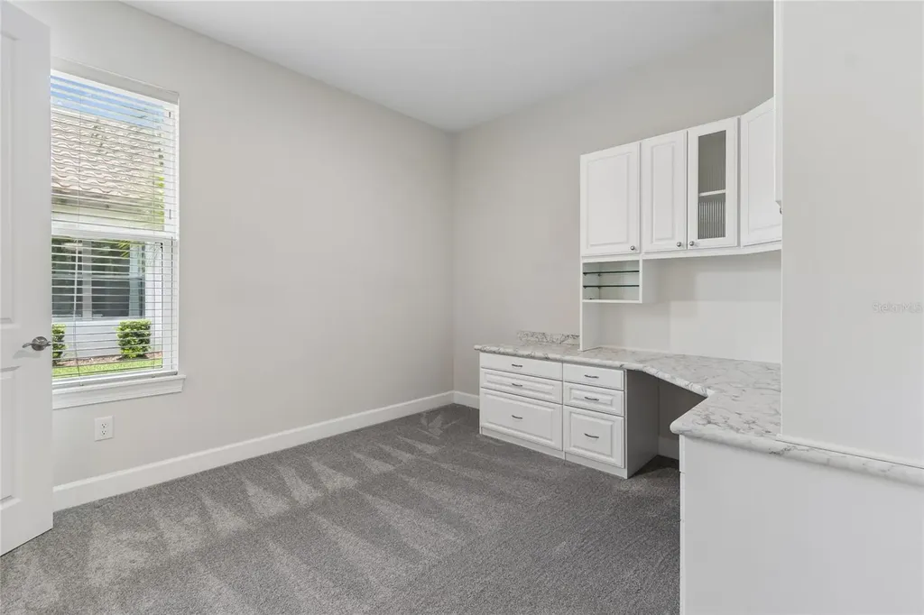 29306 Ginnetto Drive Wesley Chapel FL 33543