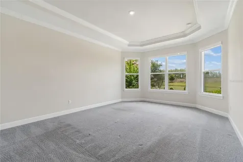 29306 Ginnetto Drive Wesley Chapel FL 33543