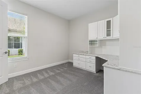 29306 Ginnetto Drive Wesley Chapel FL 33543