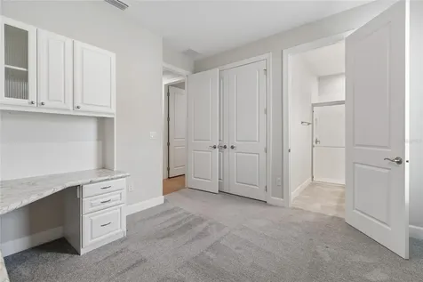 29306 Ginnetto Drive Wesley Chapel FL 33543