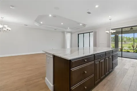 29306 Ginnetto Drive Wesley Chapel FL 33543