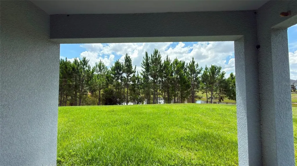 3992 Fescue Street Clermont FL 34714
