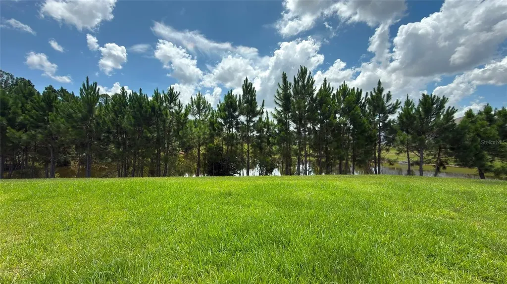 3992 Fescue Street Clermont FL 34714