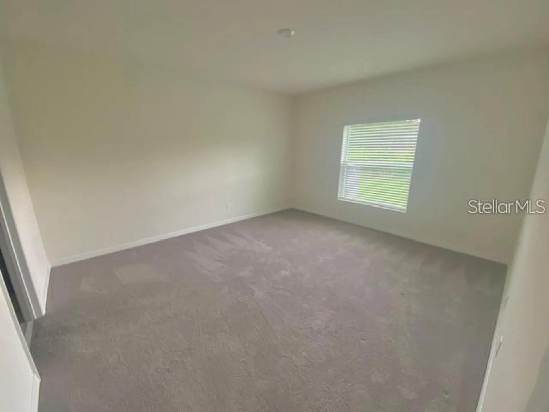 3992 Fescue Street Clermont FL 34714