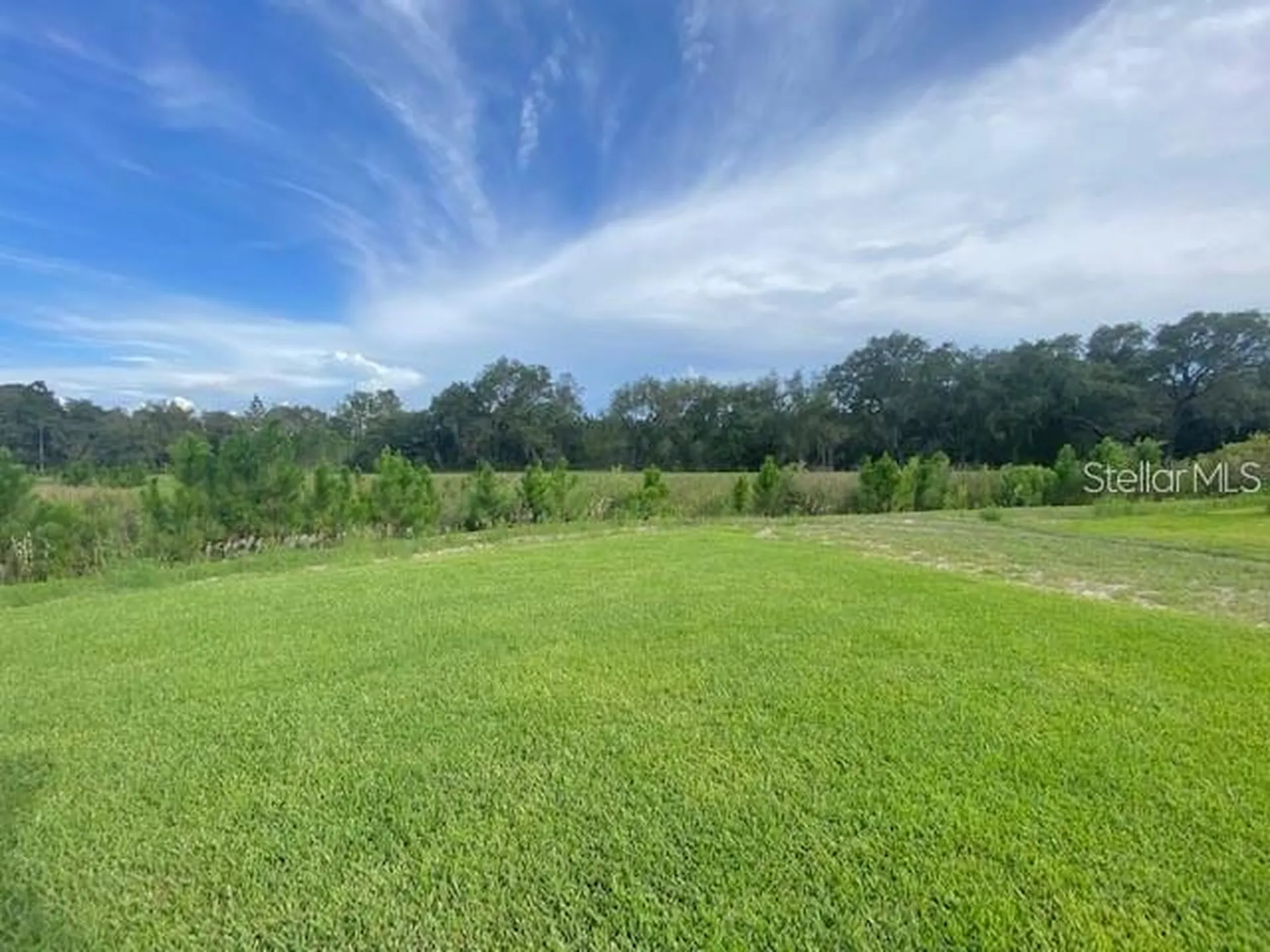 3992 Fescue Street Clermont FL 34714