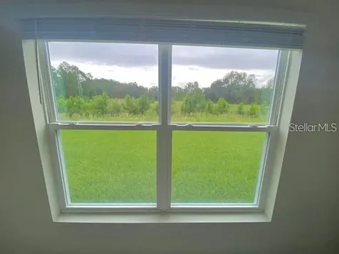 3992 Fescue Street Clermont FL 34714