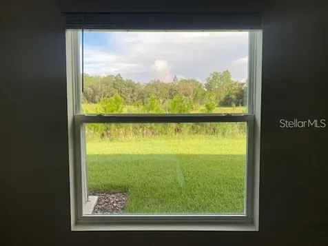 3992 Fescue Street Clermont FL 34714