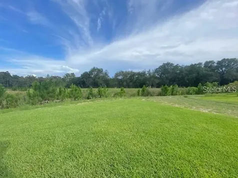 3992 Fescue Street Clermont FL 34714