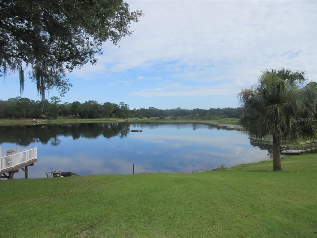 16849 SE 59th Place Ocklawaha FL 32179
