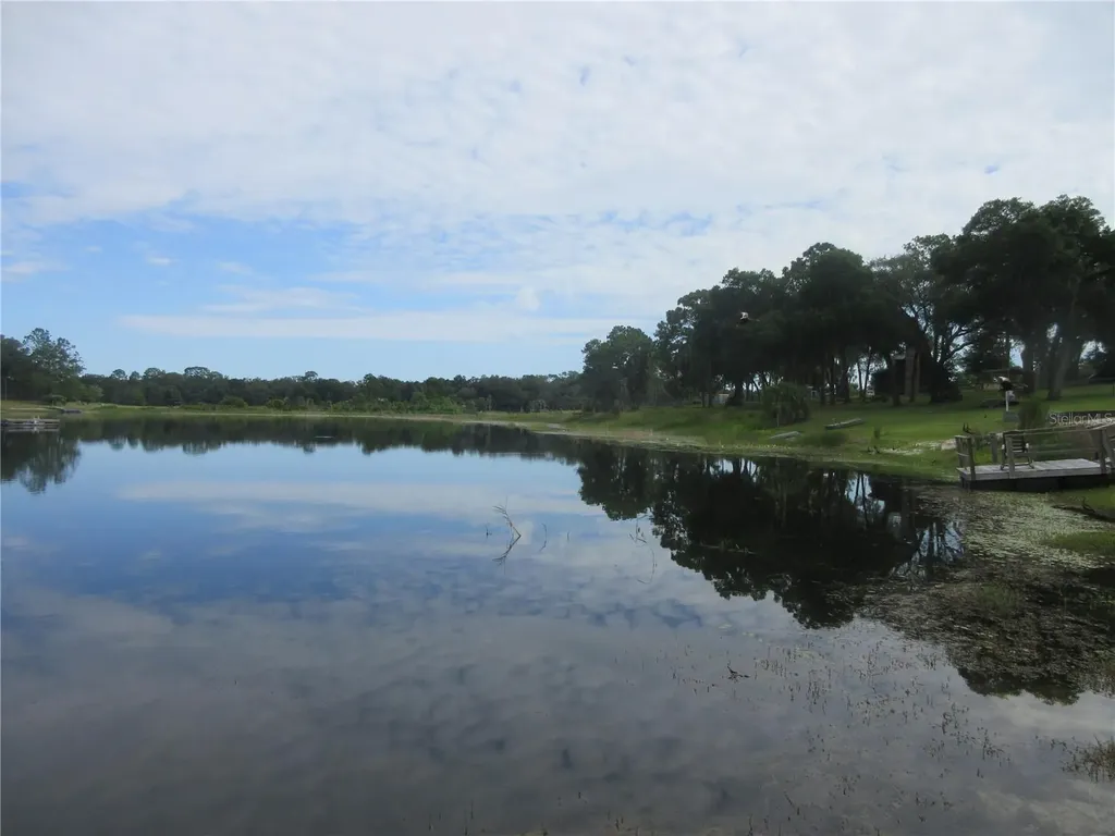 16849 SE 59th Place Ocklawaha FL 32179