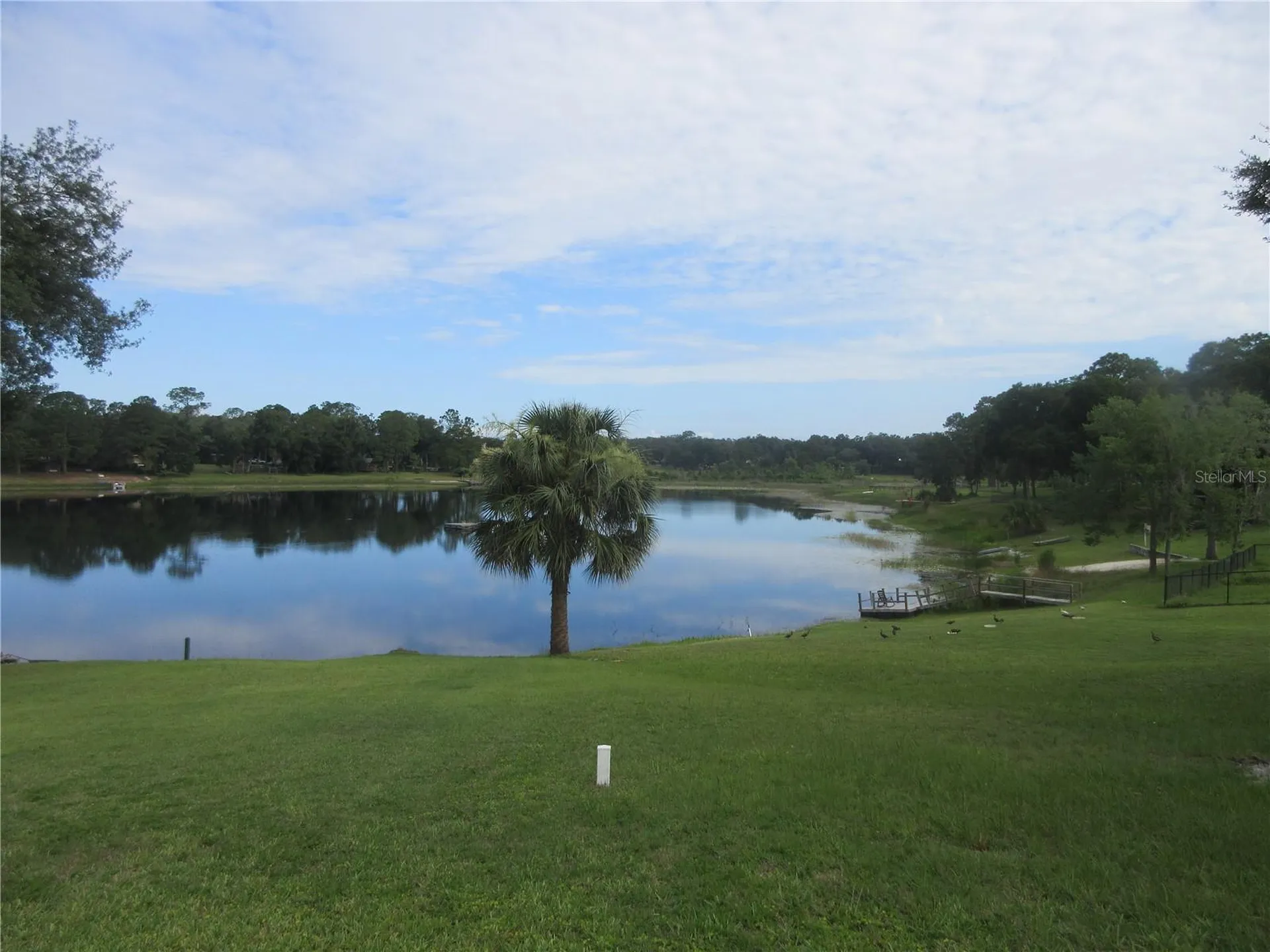 16849 SE 59th Place Ocklawaha FL 32179
