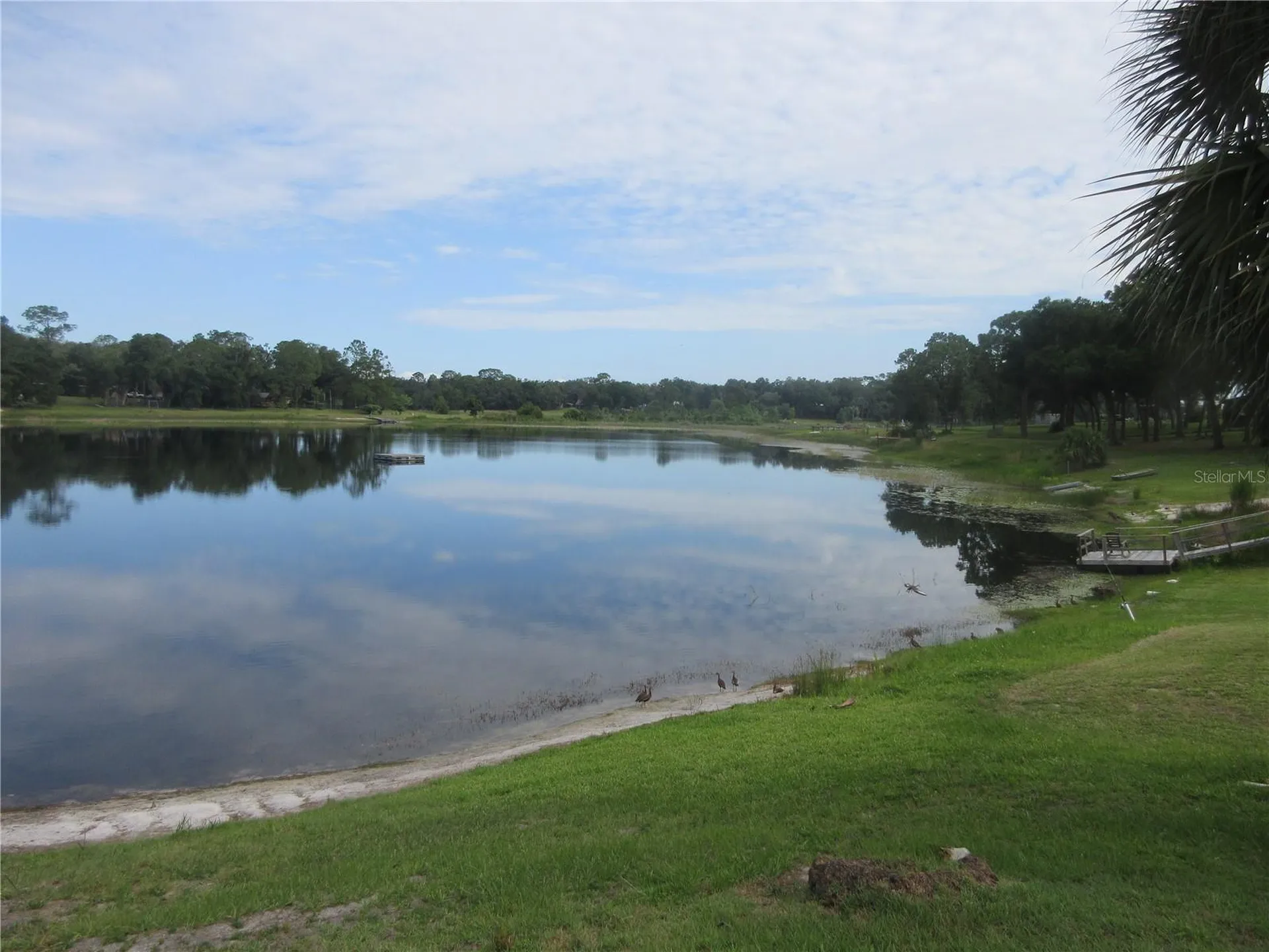 16849 SE 59th Place Ocklawaha FL 32179