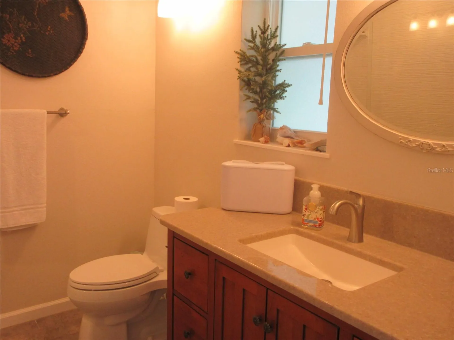 16849 SE 59th Place Ocklawaha FL 32179