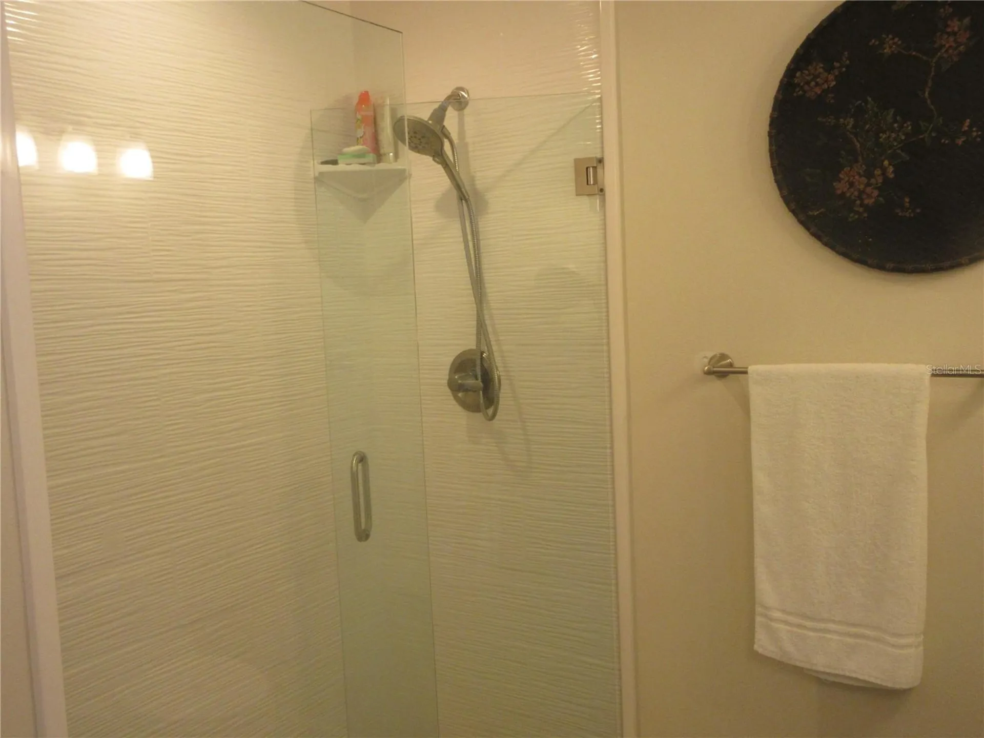 16849 SE 59th Place Ocklawaha FL 32179