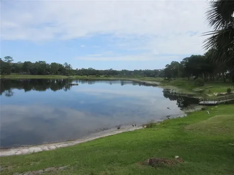 16849 SE 59th Place Ocklawaha FL 32179