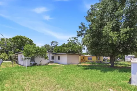 1300 Morningside Street Mount Dora FL 32757