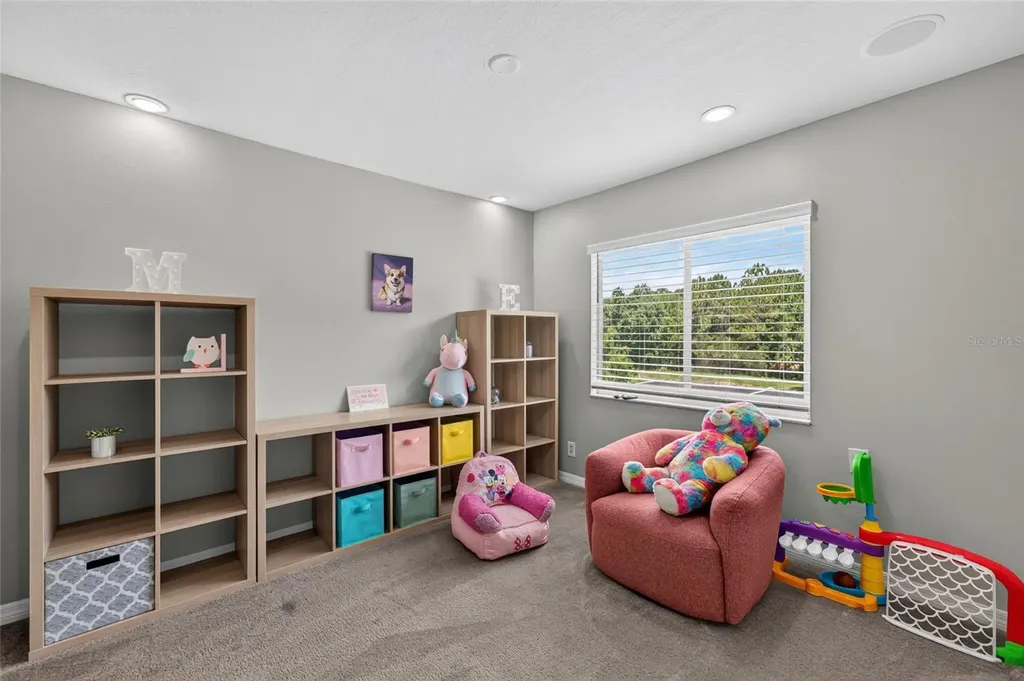 26943 Coral Springs Drive Wesley Chapel FL 33544