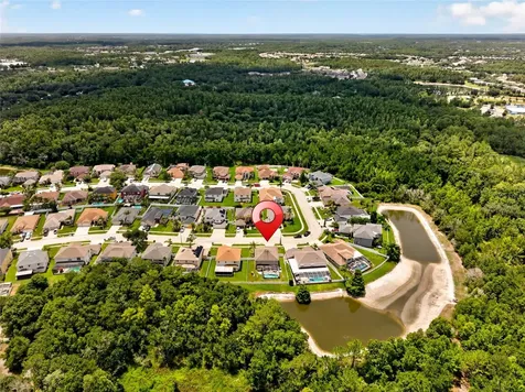 26943 Coral Springs Drive Wesley Chapel FL 33544