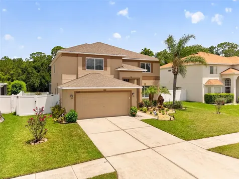 26943 Coral Springs Drive Wesley Chapel FL 33544