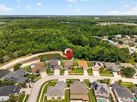 26943 Coral Springs Drive Wesley Chapel FL 33544