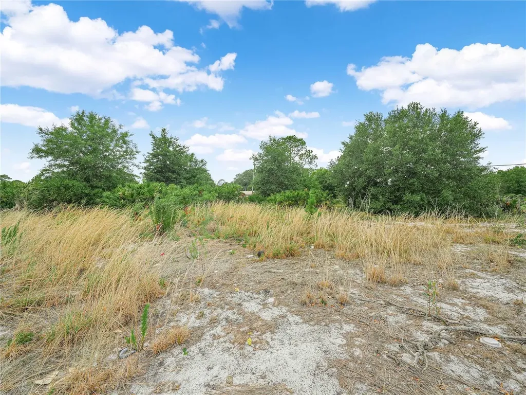 Oakridge Drive Frostproof FL 33843