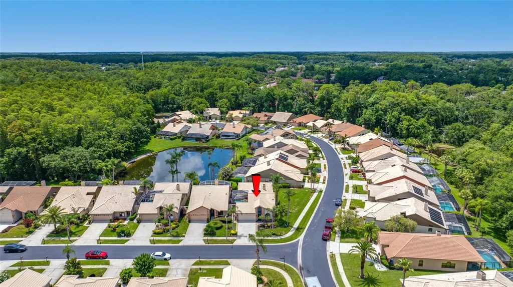 5450 Greyston Street Palm Harbor FL 34685