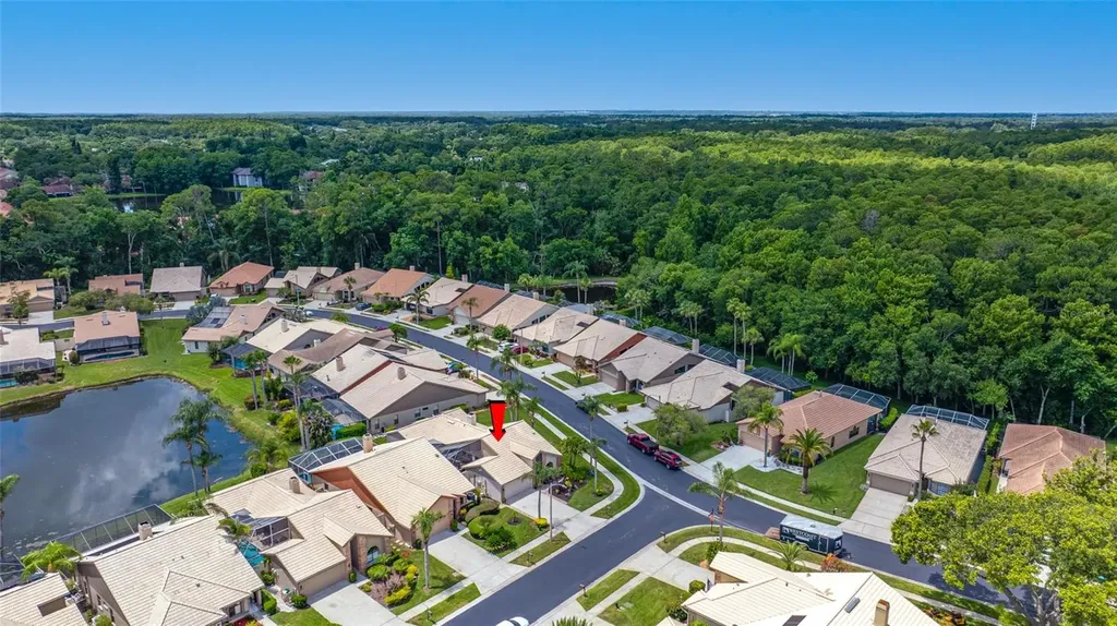 5450 Greyston Street Palm Harbor FL 34685