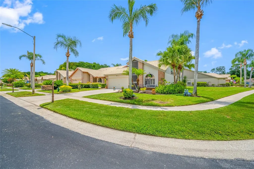 5450 Greyston Street Palm Harbor FL 34685