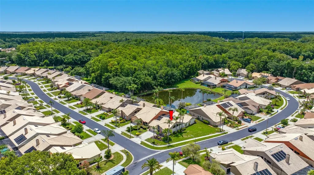 5450 Greyston Street Palm Harbor FL 34685
