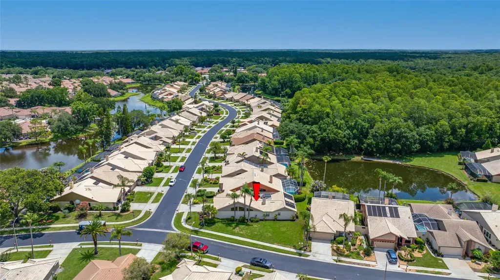 5450 Greyston Street Palm Harbor FL 34685