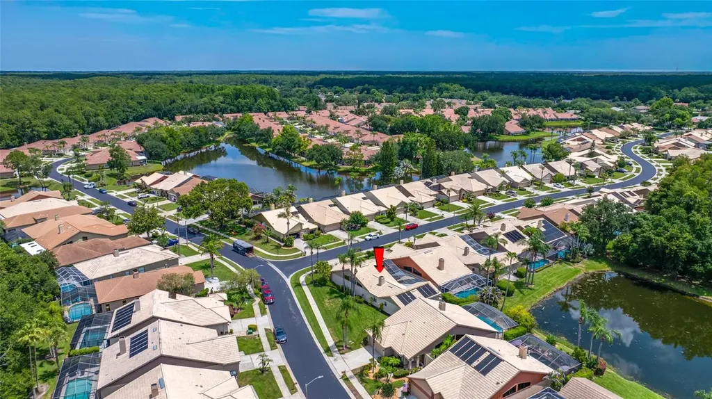 5450 Greyston Street Palm Harbor FL 34685