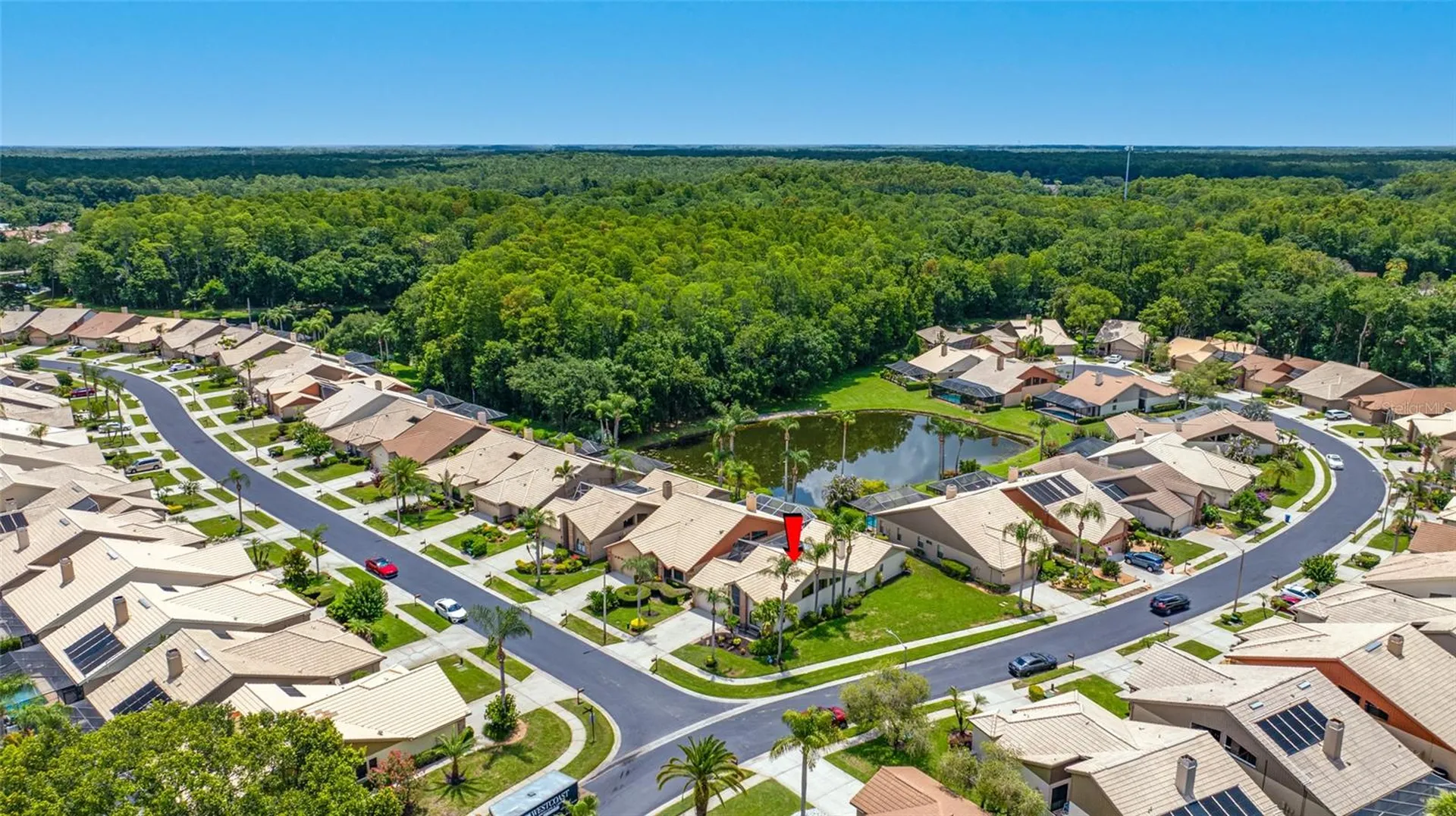5450 Greyston Street Palm Harbor FL 34685