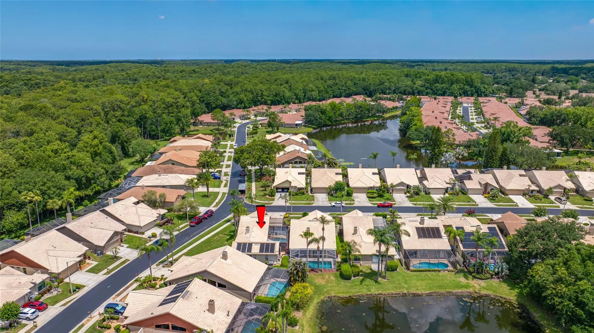 5450 Greyston Street Palm Harbor FL 34685