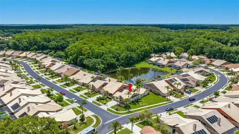 5450 Greyston Street Palm Harbor FL 34685
