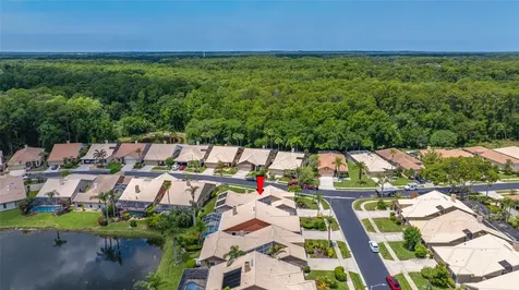 5450 Greyston Street Palm Harbor FL 34685