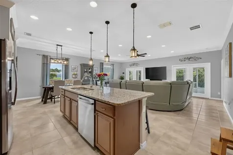 24529 Woodhill Court Sorrento FL 32776