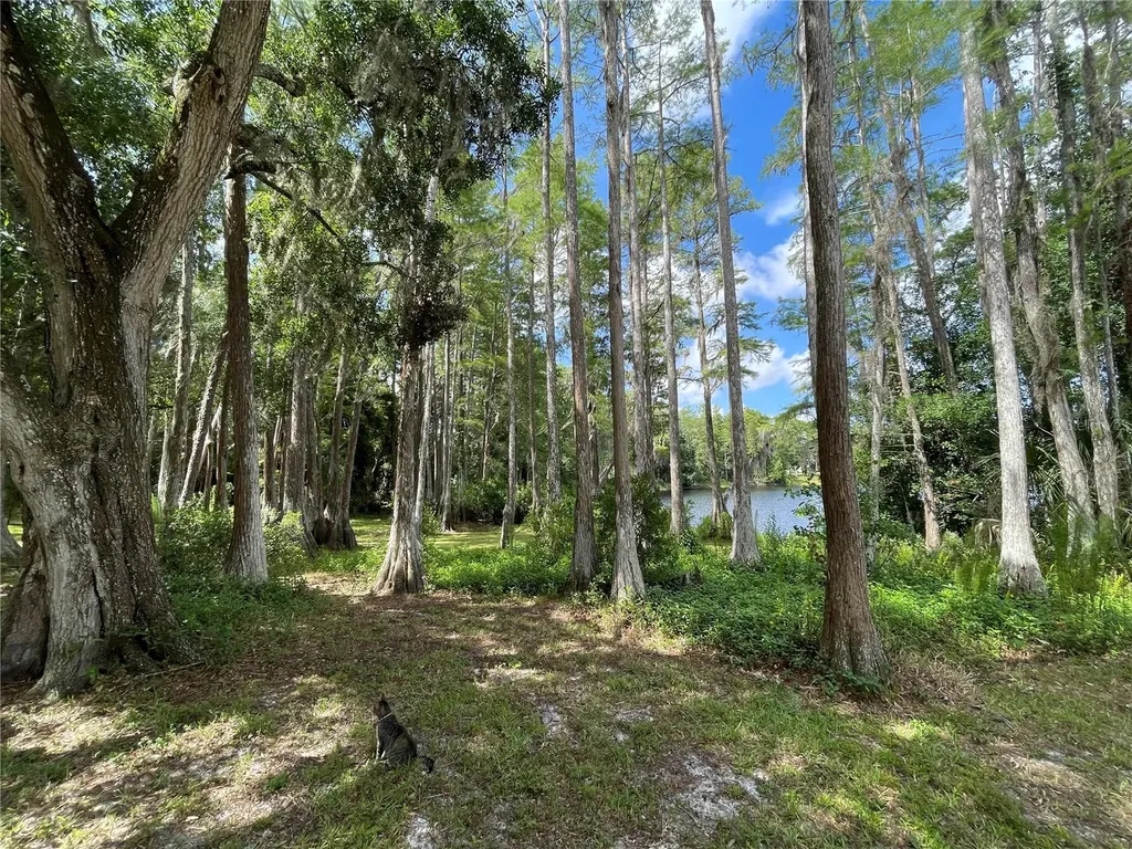 8270 Sycamore Drive New Port Richey FL 34654