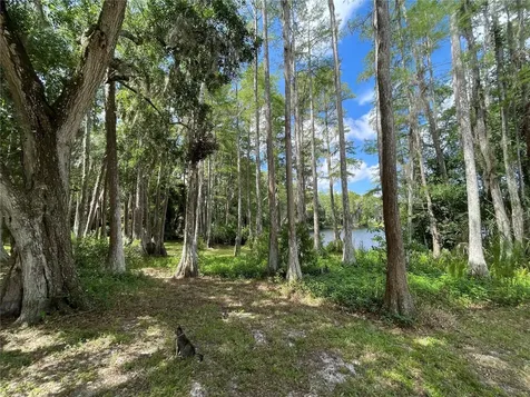 8270 Sycamore Drive New Port Richey FL 34654
