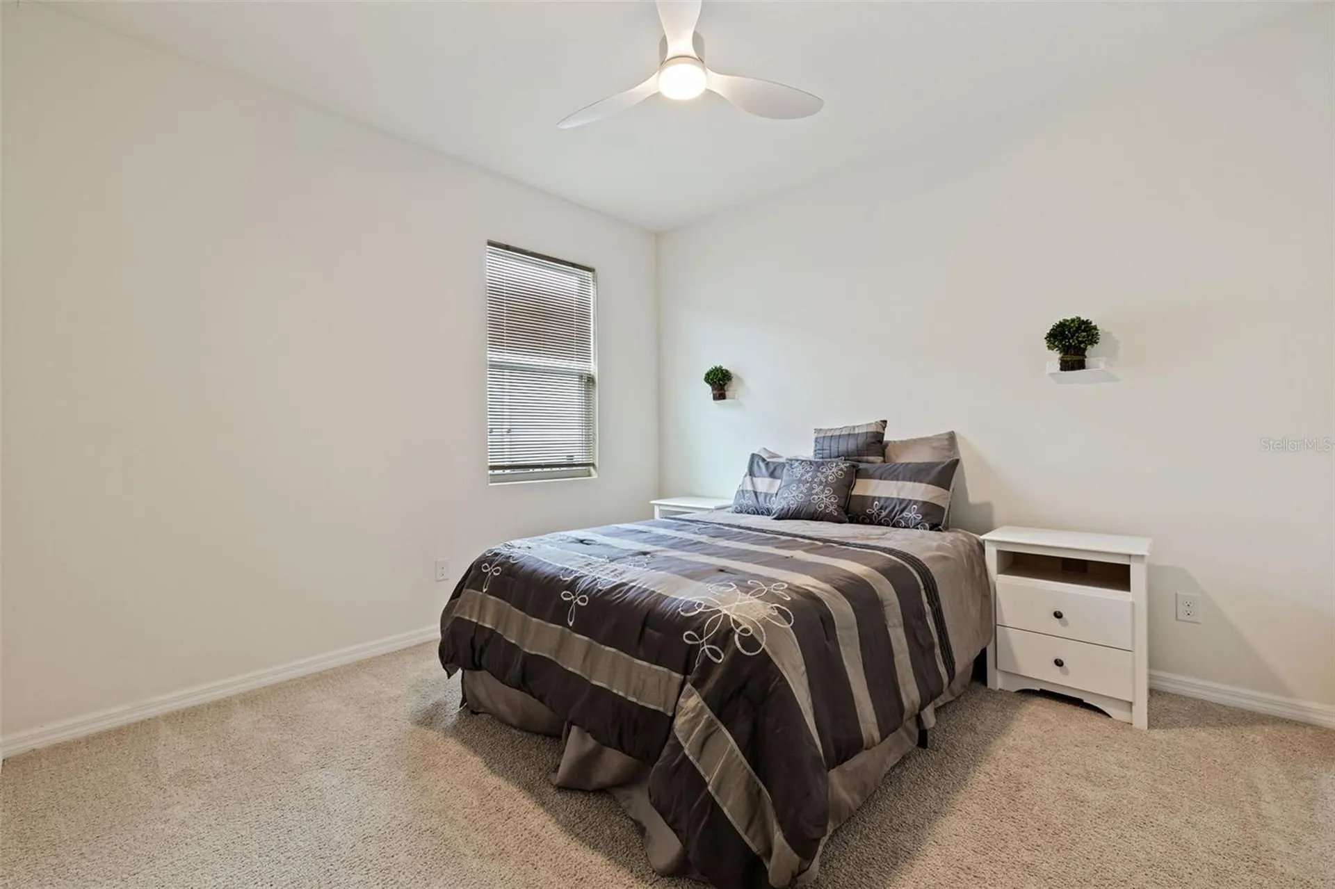 7533 Lantern Park Avenue Apollo Beach FL 33572
