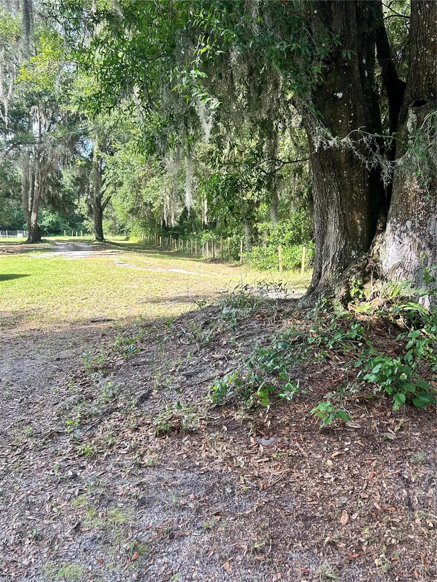 5237 Turtle Dove Trail Lakeland FL 33810