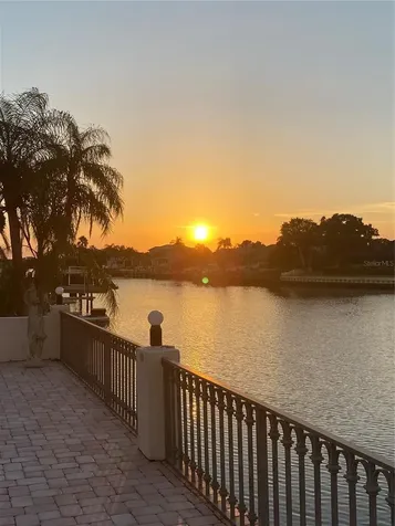 7011 Pelican Island Drive Tampa FL 33634